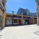 일산호수공원 가로수길 이미지