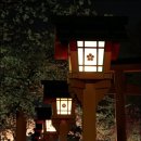 일본 교토 굴지의 벚꽃명소! 히라노(平野)신사 이미지