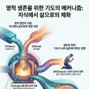 영적 생존의 설계도 이미지