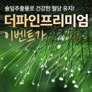 더 난 | 더파인프리미엄 후기 입소문이 난 솔잎증류농축액효능 체감이 확 느껴졌어요~!