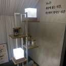 넘버25호텔남춘천점
