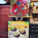 상대원2동 제1복지회관 | 부산쿠키 용호동디저트 맛집 이기대 입구 카페 롤트 후기