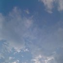 의성 신우정려비 이미지