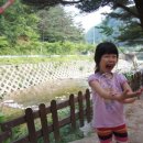 엄둔 솔밭 빌리지 이미지