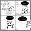 토박이철판춘천닭갈비 이미지