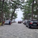 연곡해변 입구 이미지