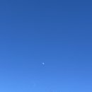 메트로할인마트