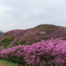 제 99 차 정기산행 전북남원 [봉화산] 이미지