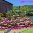 백운면사무소 이미지