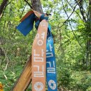 황새울길 이미지