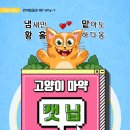 다솜고양이메디컬센터 이미지