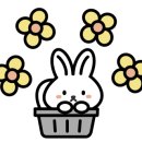 카페그리닝수원