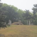 신덕4호 이미지