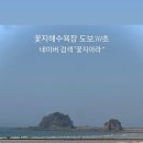 꽃지아라 이미지