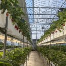 보광이네 이미지