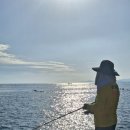 올레펜션 이미지