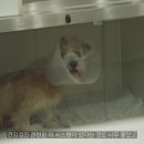 포인핸드 건강검진센터 이미지
