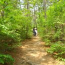 성포 초등학교 이미지