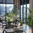 파티오6747 이미지