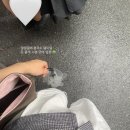 시청 진주회관 인생 첫 콩국수 후기 (주말 웨이팅 팁)