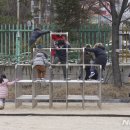 서울장월초등학교 이미지
