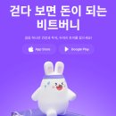 비트16 이미지