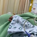 여수전남병원 | 여수 전남병원 위대장내시경 후기 : 식단, 치아교정러, 보험 실비청구 서류