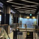 강남 메가박스 리클라이너관, 누워서 영화 본 솔직 후기 자리 추천 꿀팁