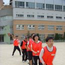 목동초교 Daum카페