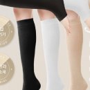 셀트기기 네이버블로그