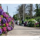 안성리-6 이미지