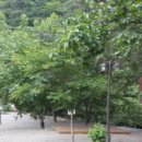 그루터기 캠핑장 이미지