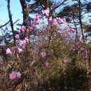 덕봉쉼터 이미지