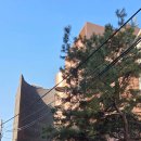 소라농장 | 흑백요리사 '테이블포포' 런치, 태안 김성운 셰프 한남동 맛집 후기