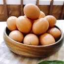 월악로농장 이미지