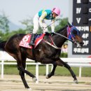 우승목장 이미지