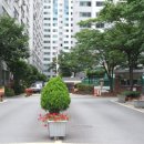 탄벌동-15 이미지