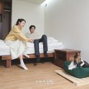 멍멍스쿨 이미지