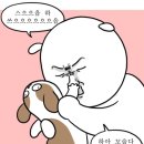 백수 이미지