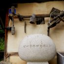 메밀꽃필무렵(전) 이미지