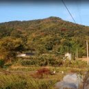 산수리농장 이미지