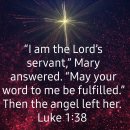 마리아A+ 이미지