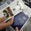 세우마트 | 일번 일본 뭐가좋지