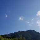경희대석사청학태권도 이미지