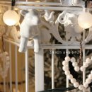 꾸밈장식 이미지