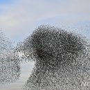 하늘그린(주) 이미지