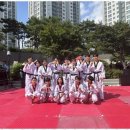 용인대 청명 태권도 이미지