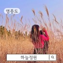 인천국제공항 하늘정원 내 | 영종도 하늘정원 주차장 억새 사진 스팟 공유
