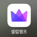 셀럽챔프&스타플래닛 장미와하트모아주세요☑️ 이미지