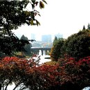 소망의원 옆 이미지